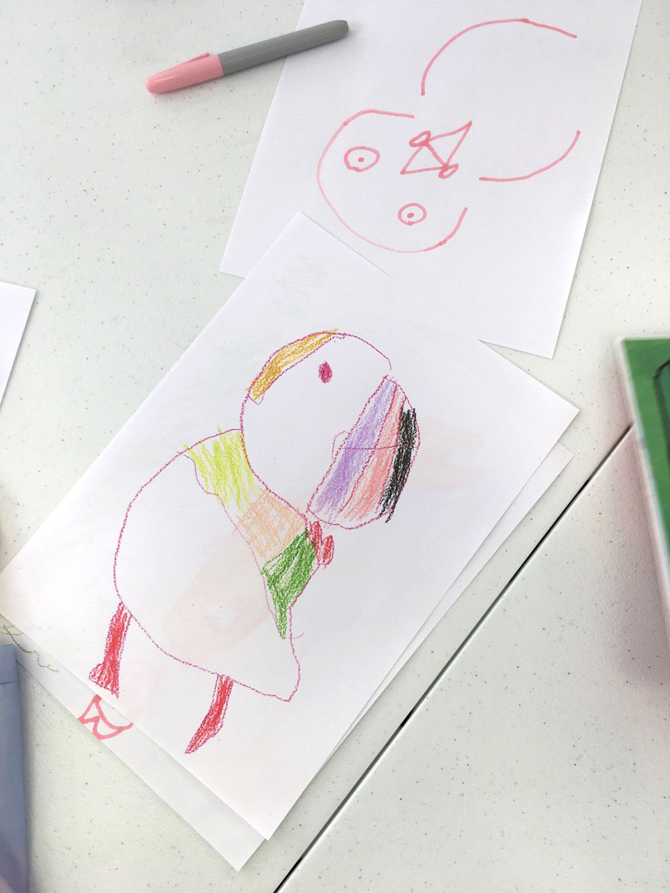 Child's drawing of a puffin