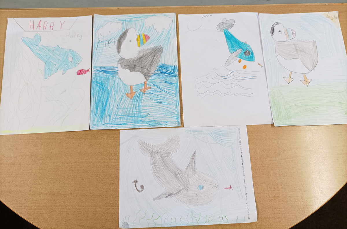 Children's drawings of Puffling, Finn and puffins'
