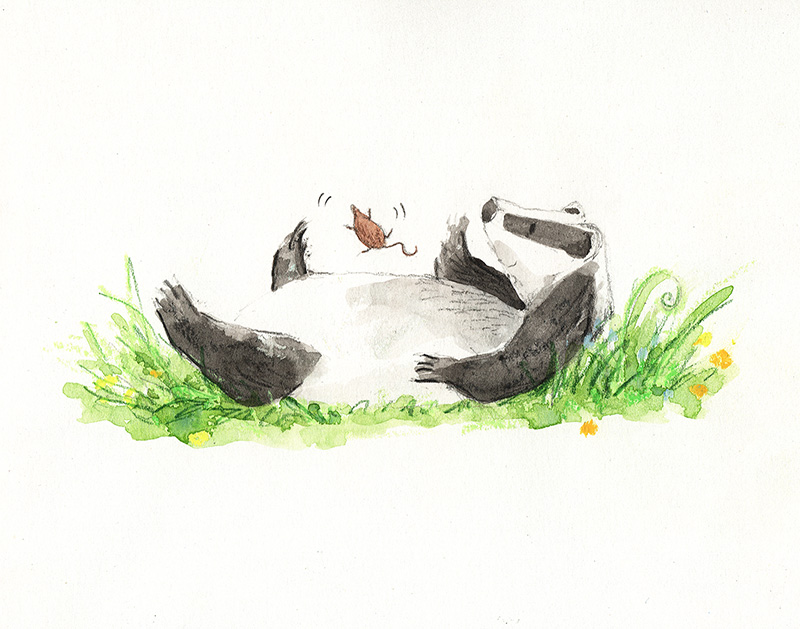 a badger lying on her back with a pygmy shrew bouncing on her belly