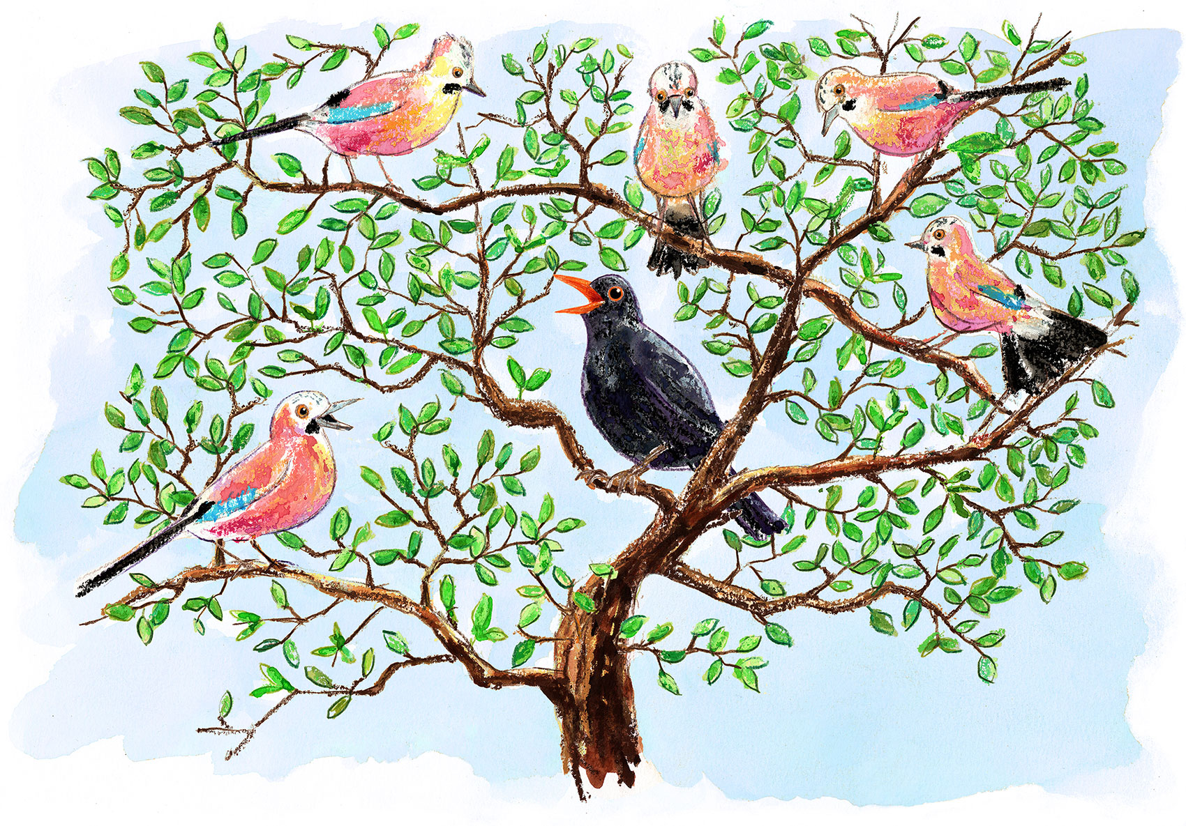 a tree with five Jay birds and one singing blackbird in the middle