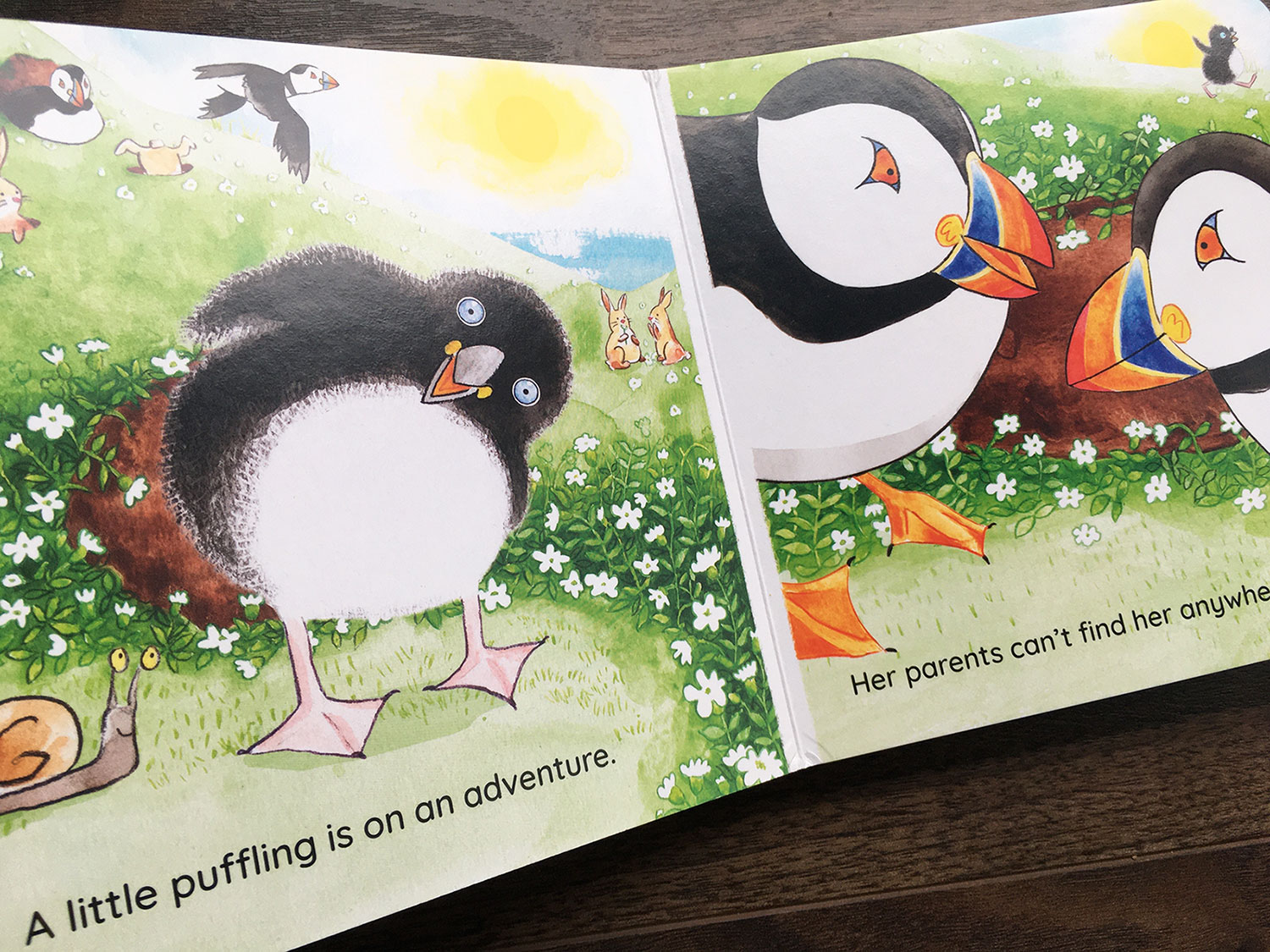 Where Are You Puffling? board book Puffling pops out of her burrow