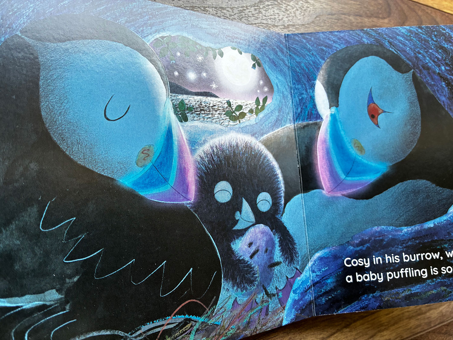It's Too Dark, Puffling board book the little puffling is now happy and cosy in his burrow with his puffin parents