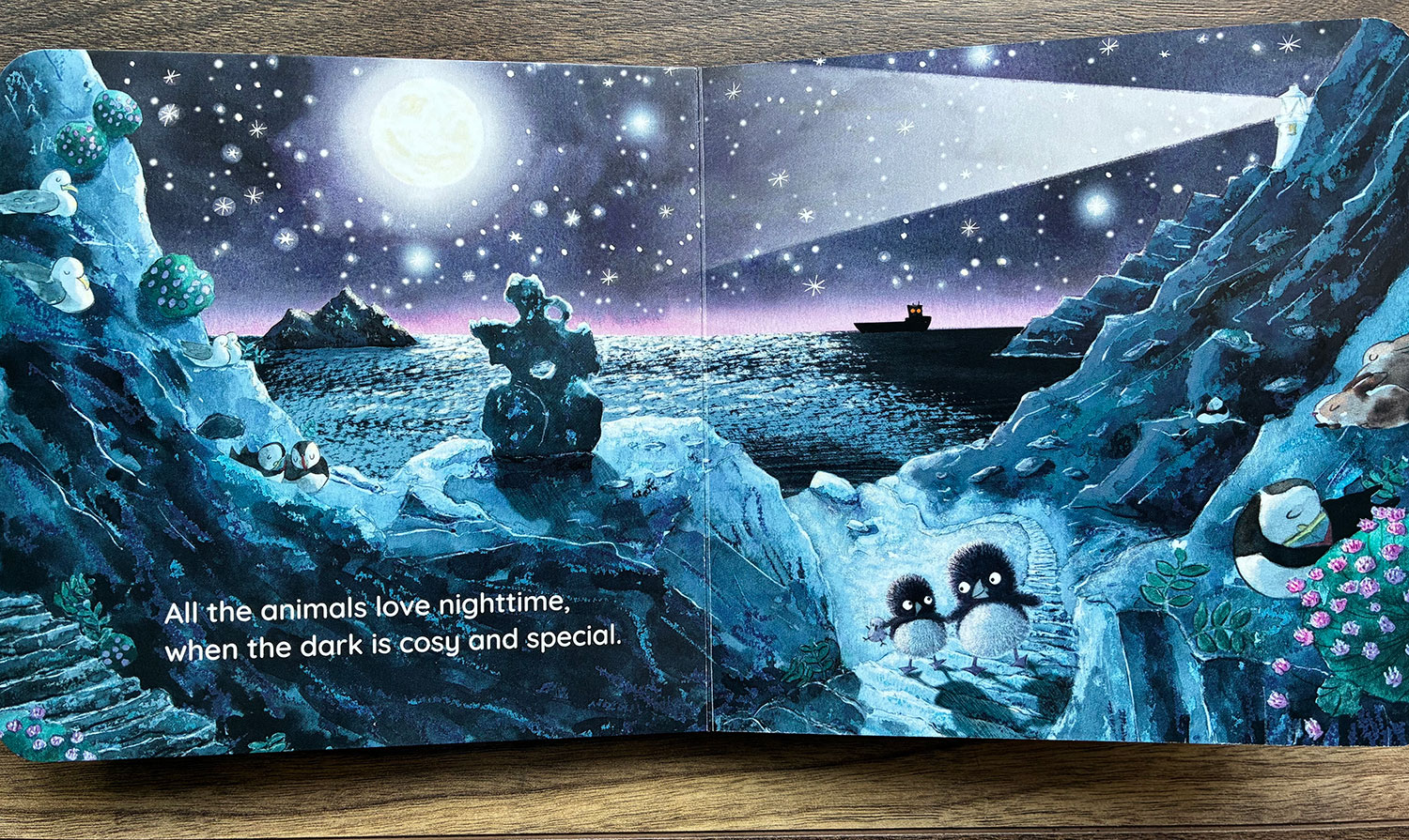 It's Too Dark, Puffling board book Puffling and the little puffling walk up the many steps on Skellig Michael