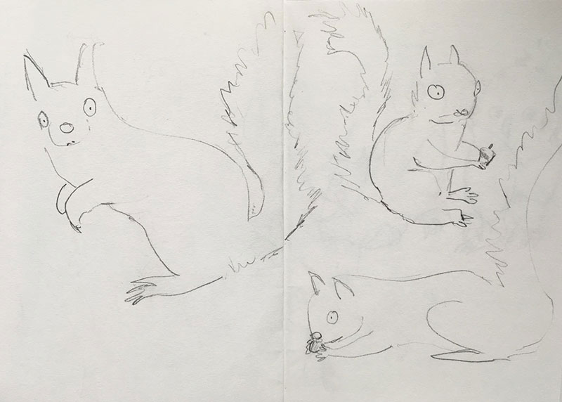 sketch some squirrels